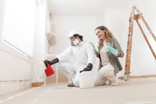 Best HVAC Mold Inspection and Cleaning  in Mount Carmel, OH
