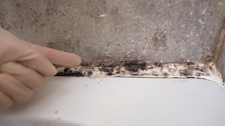 Best Mold-Related Health Consultation  in Mount Carmel, OH
